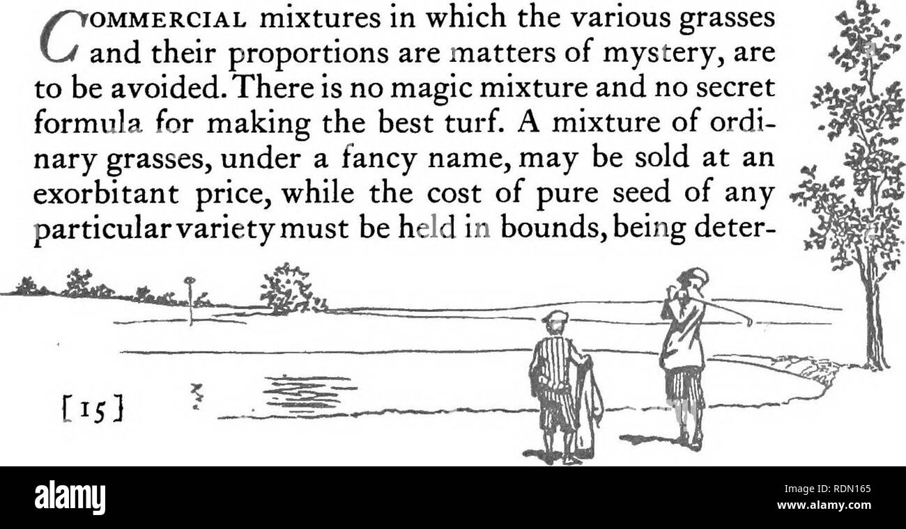 . La semina e la cura dei campi da golf. Campi da golf; graminacee. La semina e la cura dei campi da Golf ampia gamma di adattamento al terreno. Anche sulla sabbia, che rischia di essere più o meno acido, è stato riscontrato in alcuni casi a fare meglio di qualsiasi altro impianto di tappeto erboso. Agrostide bianca fa bene sul terreno acido e in umido, aree acide deve essere preferito a Blu-erba. Essa ha anche la virtù di economici- ness e il suo utilizzo in una miscela riduce notevolmente il costo delle sementi- ing- Chewings Festuca', che è comunemente considerato un erba per il putting-green, è eccezionalmente bene per il fairway. In stagioni come la presente, Foto Stock