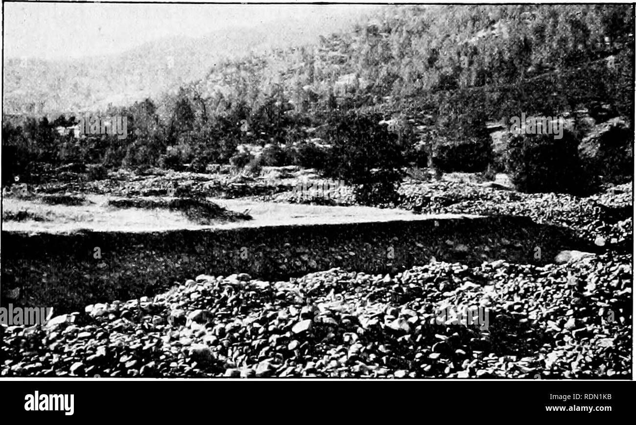 . Lettore di conservazione. Risorse naturali; le foreste e la silvicoltura. 46 Conservazione Reader. H. W. Fairbanks il minatore nella sua ricerca per oro rovine la bella valle, lasciando una massa di massi. Tanti anni che in molti luoghi il suolo poco crescere un raccolto che vale la pena raccogliere. Molti agricoltori non hanno mai pensato di questo ma le sagge a capire che si deve aggiungere frequentemente l'alimento vegetale al suolo per sostituire quello preso dalle colture. Si capisce anche che è una buona cosa per modificare i raccolti cresciuti su qualsiasi particolare campo di anno in anno, poiché diverse piante prendere diversi sub- stan Foto Stock