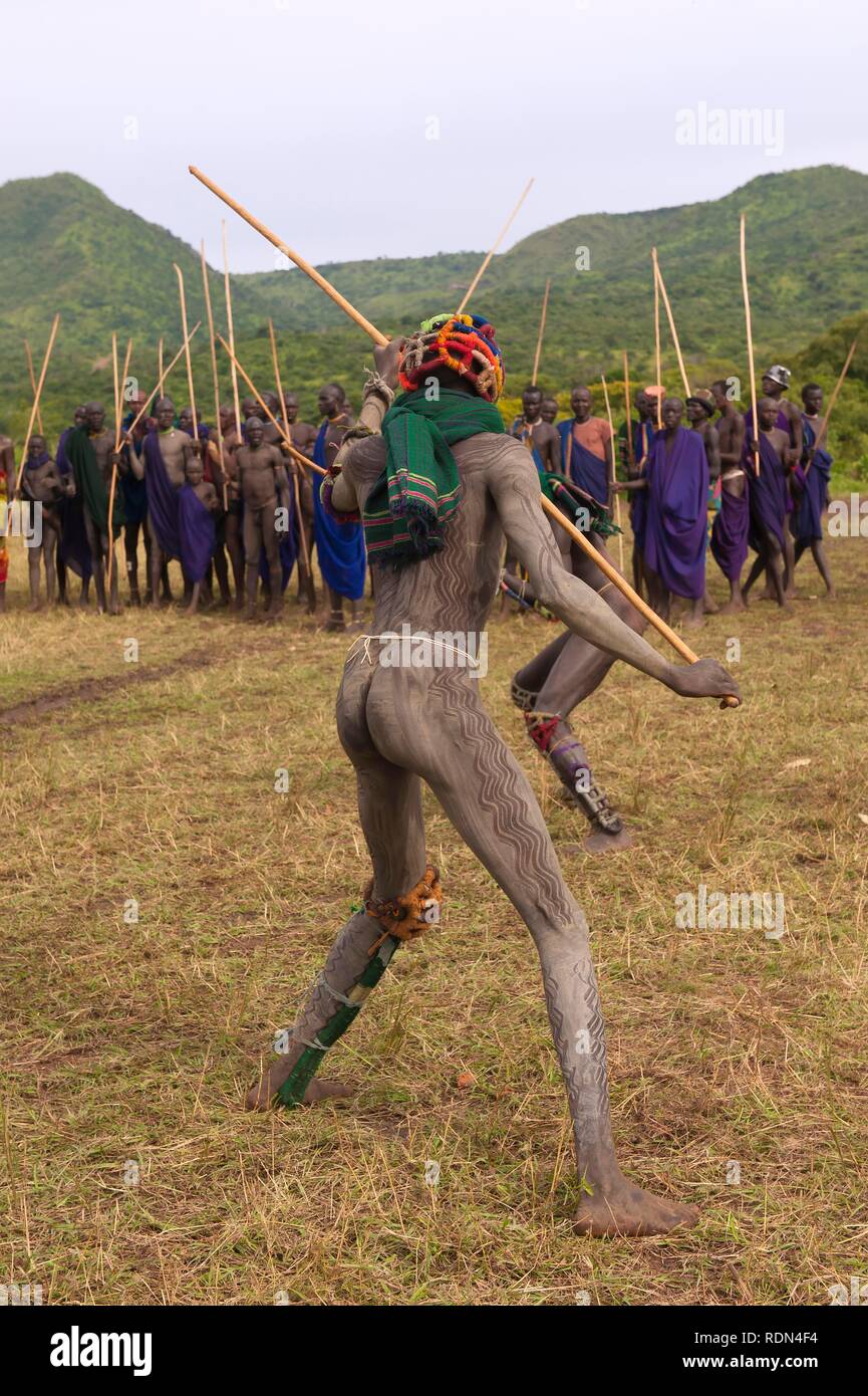 Donga stick fighters, tribù Surma, Tulgit, Omo River Valley, Etiopia, Africa Foto Stock
