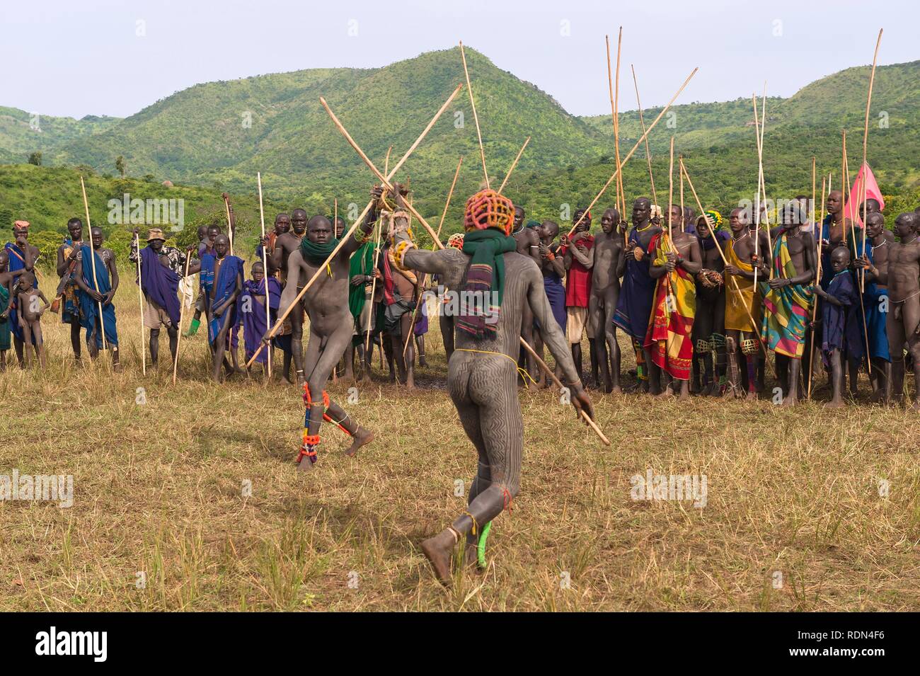 Donga stick fighters, tribù Surma, Tulgit, Omo River Valley, Etiopia, Africa Foto Stock