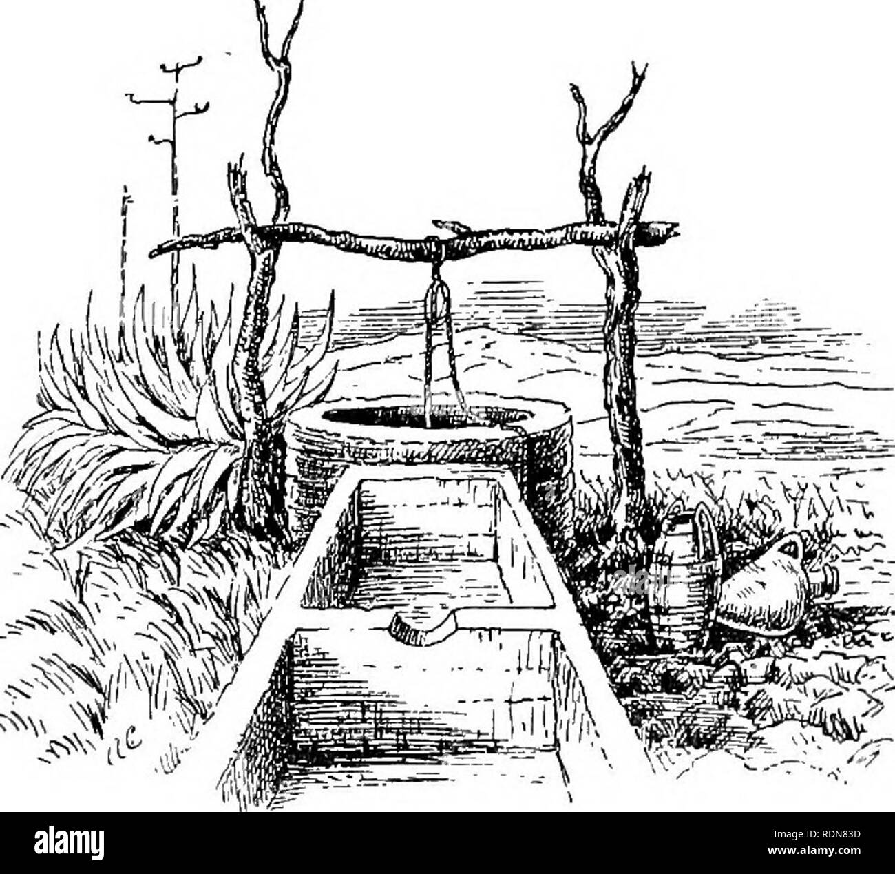 . Spagna inesplorate. Caccia; storia naturale. Il grande Bustard ^59 girato di nuovo e guadagnando la cresta assistito a questo fantastico spettacolo. In cava, 300 metri, è stato un bene con il solito cross-bar e la puleggia per il prelievo di acqua e sulla croce- bar sat un aquila. Di seguito sulla Terra si fermò i feriti bustard, rivolto verso l'alto per una seconda grande aquila, che mantenuta turbinano intorno a lui, apparentemente riluttante ad attaccare in modo enorme di un uccello sulla terra e nel suo allora atteggiamento aggressivo e cercando di forzarlo a volare. Così assorbita sono stati entrambi aquile in preda che ho guidato inosservato a entro 1 Foto Stock