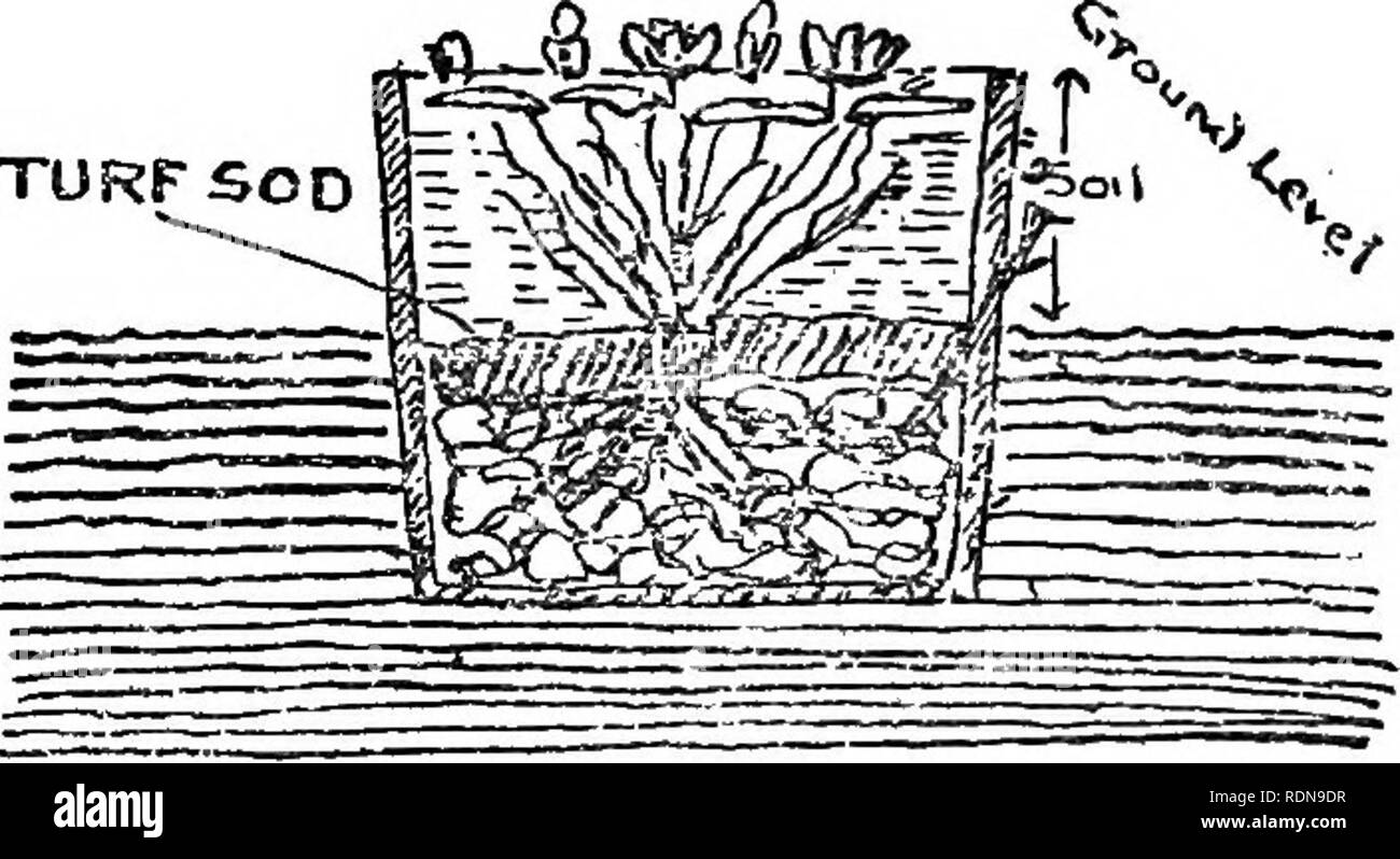 . La pianificazione &AMP; piantagione di piccoli giardini. Il giardinaggio; giardini. Giglio di acqua vasche posto un semplice vaso, figura o meridiana. K offre una posi- zioni in cui indulgere in modo modesto in uno dei più affascinanti sforzi di giardinaggio. Si tratta di una vasca, di circa tre metri e tre piedi profondo, parzialmente affondato nel terreno e nella quale è piantato un delizioso rosa o rosso cremisi gigli d'acqua. I dettagli sono riportati nei disegni illustra- zioni. M dovrebbe essere una rosa-coperto arbour, realizzata mediante la formazione di rose oltre una semplice costruzione di poli di larice. Un giardino di rose in miniatura w Foto Stock