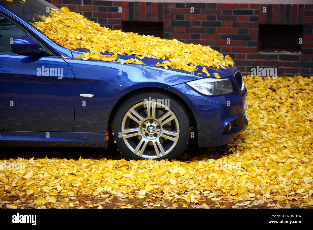 Macchina parcheggiata, completamente coperto con foglie di autunno Foto Stock