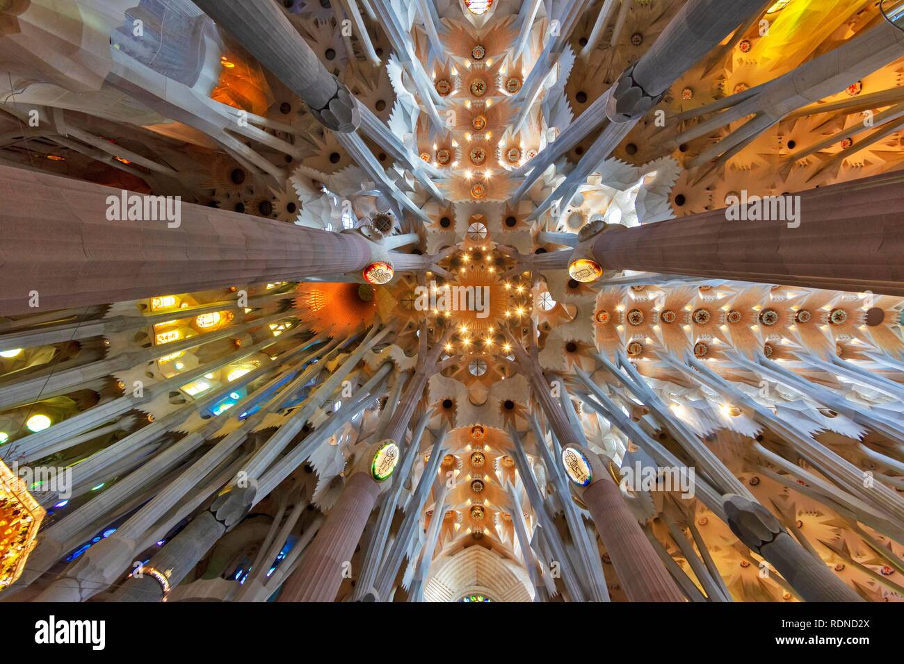 Vista interna volta a soffitto, Sagrada Familia di Antoni Gaudì Barcellona, in Catalogna, Spagna Foto Stock