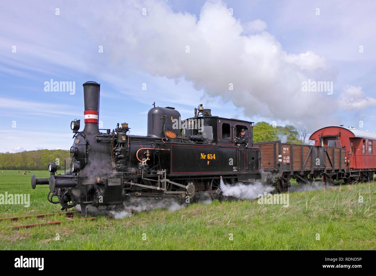 Angeln Steam Railway, Schlei, Schleswig-Holstein Foto Stock