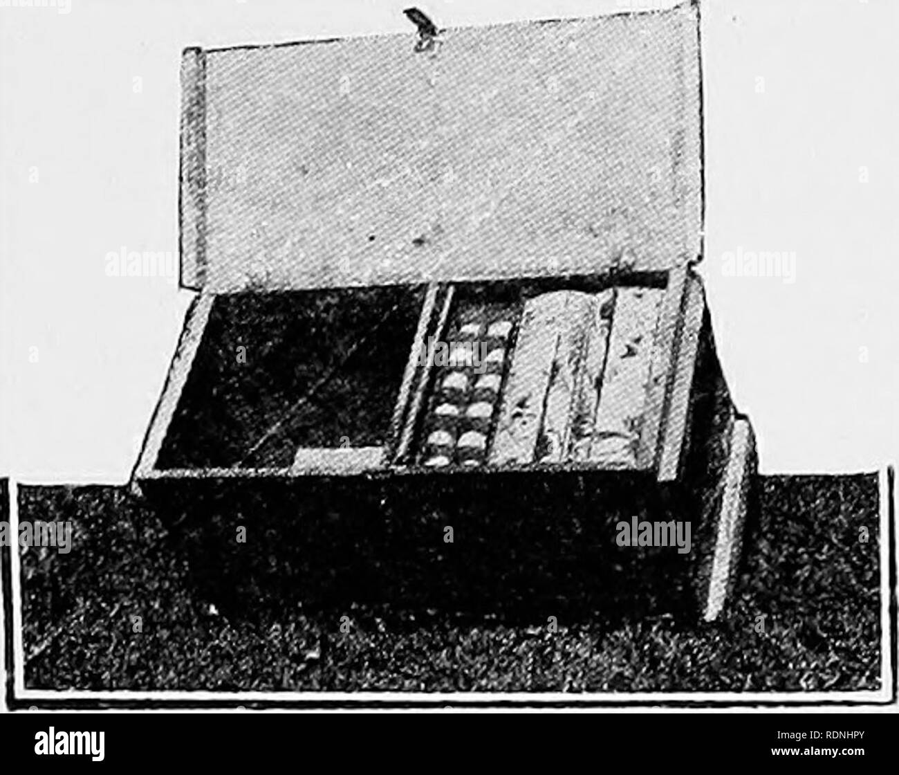 . Pratiche di produzione di pollame . Il pollame. 284 pratiche di produzione di pollame 3-16 di un pollice in profondità. Il bianco delle uova devono essere ferma e chiara e il tuorlo difficilmente visibile e libera da coaguli di sangue o sangue anelli o qualsiasi forma di de- composizione. Extra. Questa classe di uova è costituito da quelle di buone dimensioni di peso pari almeno a 24 once per la dozzina o 45 libbre net ai trenta- dozzina di caso. Essi devono essere puliti e suono nel guscio con. Si prega di notare che queste immagini vengono estratte dalla pagina sottoposta a scansione di immagini che possono essere state migliorate digitalmente per la leggibilità - Colorazione e aspetto di questi illust Foto Stock