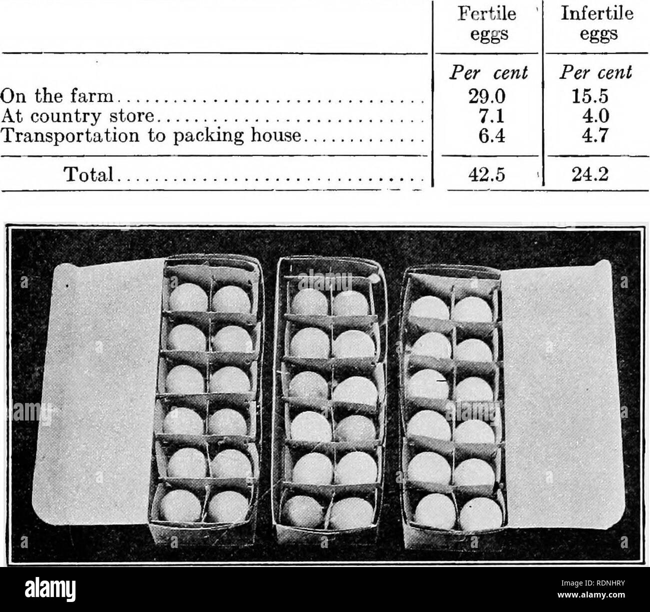 . Pratiche di produzione di pollame . Il pollame. La commercializzazione del prodotto 281 Tabella V. Le perdite relative di fertile rispetto alle uova infertili infertili. La figura 273.-marrone e bianco-uova sgusciate in scatole separate. Uova misti, come si può notare nel mezzo di cartone, presenti un aspetto poco attraente. L'uccello maschio nel gregge non ha alcuna influenza sul num- ber di uova deposte dalle galline. Egli ha semplicemente fertiUzes il germe dell'uovo, il quale non è necessario quando le uova devono essere inviati al mercato o utilizzati per scopi di tabella. È impossibile per un germe di sviluppare o un anello di sangue a forma di un uovo infertili. Esso mantiene Foto Stock