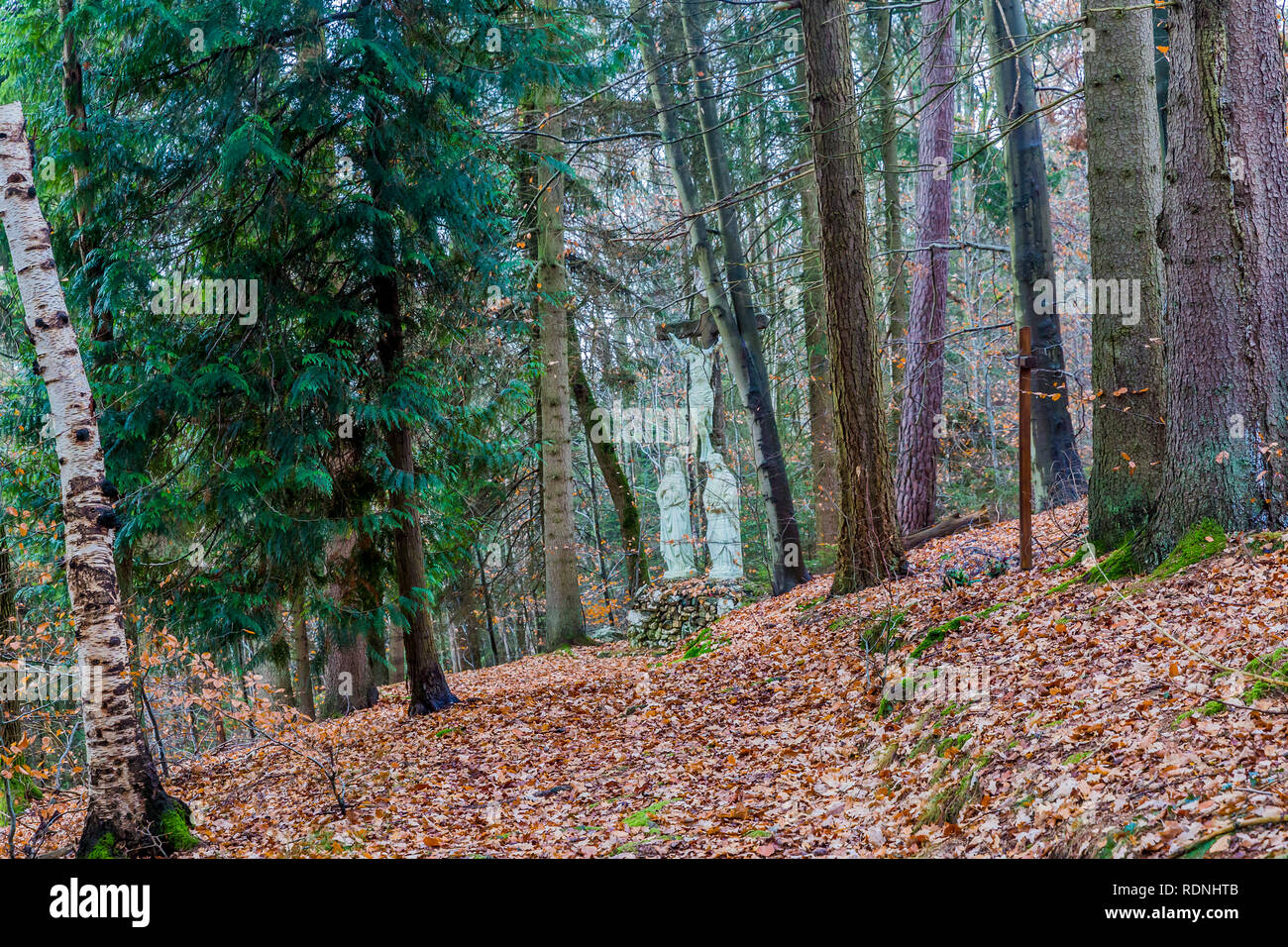 Immagine della croce DODICESIMA STAZIONE Gesù muore sulla croce) in Vielsalm grotta della Madonna di Lourdes in una magica giornata autunnale nelle Ardenne belghe Foto Stock