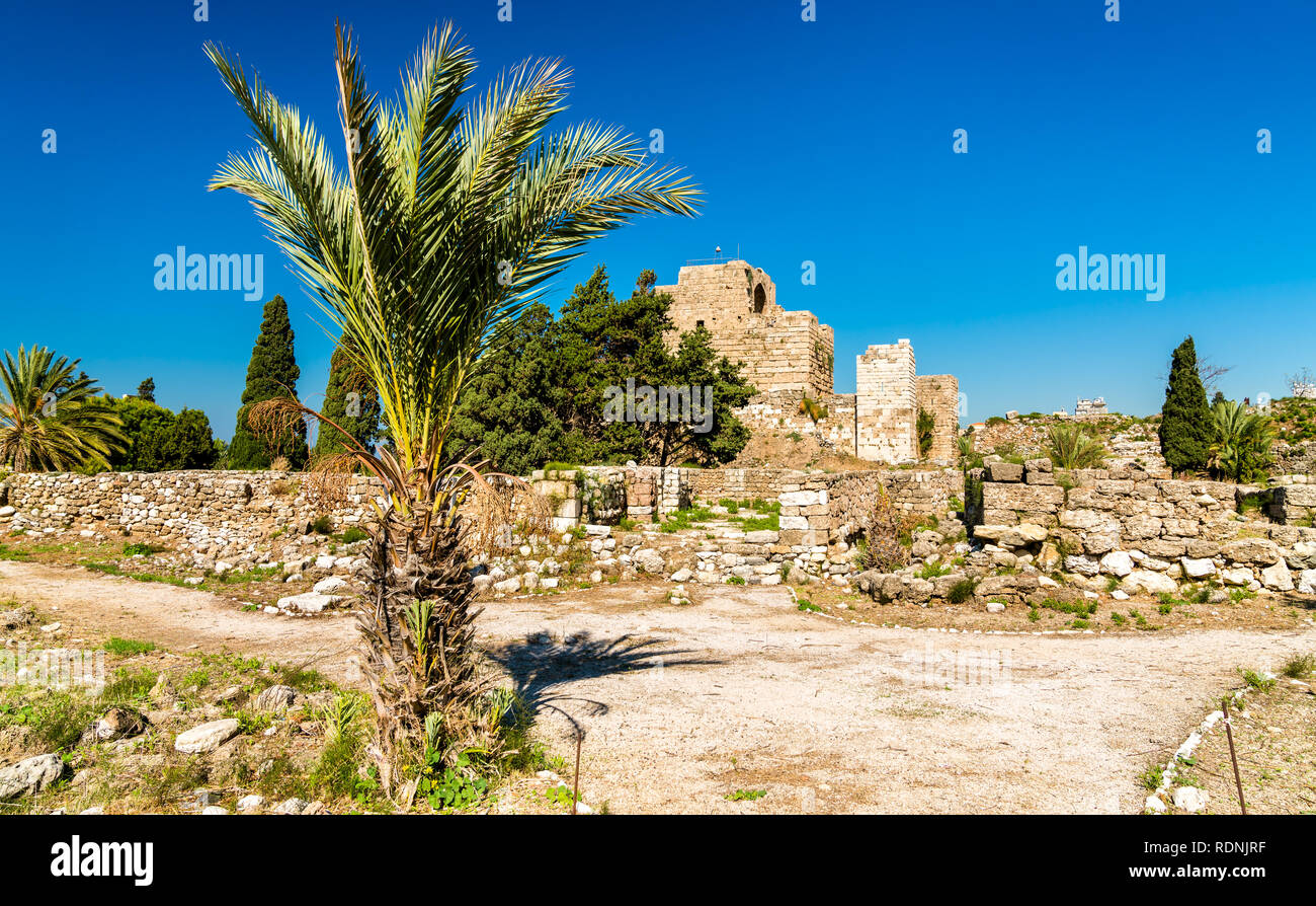Castello dei Crociati a Byblos, Libano Foto Stock