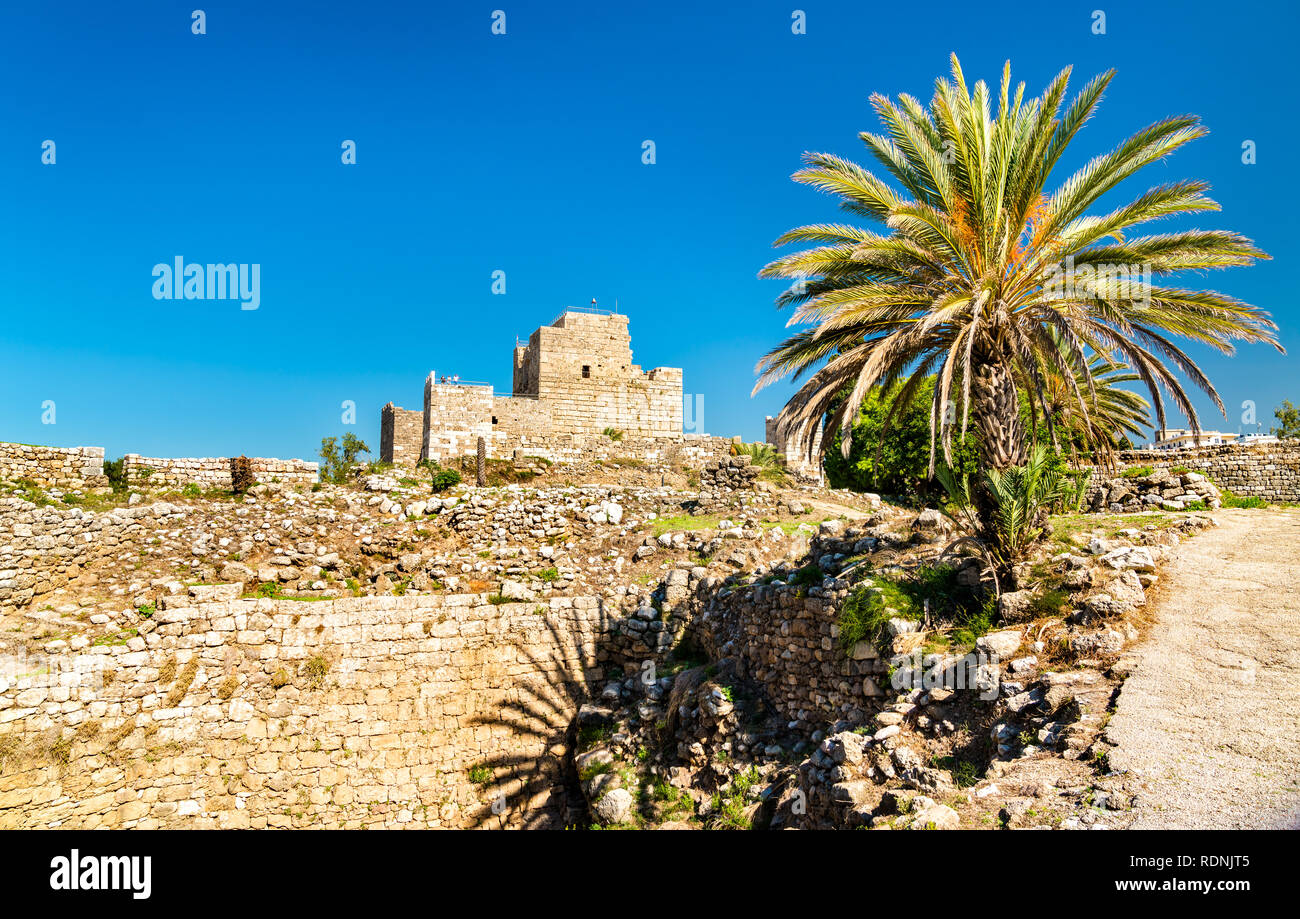 Castello dei Crociati a Byblos, Libano Foto Stock