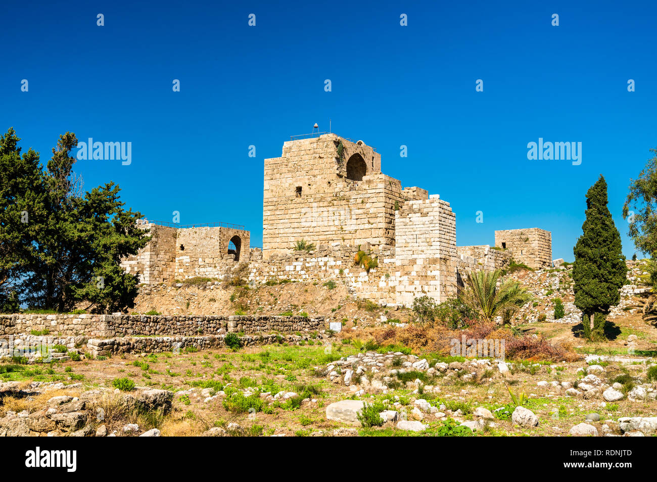 Castello dei Crociati a Byblos, Libano Foto Stock