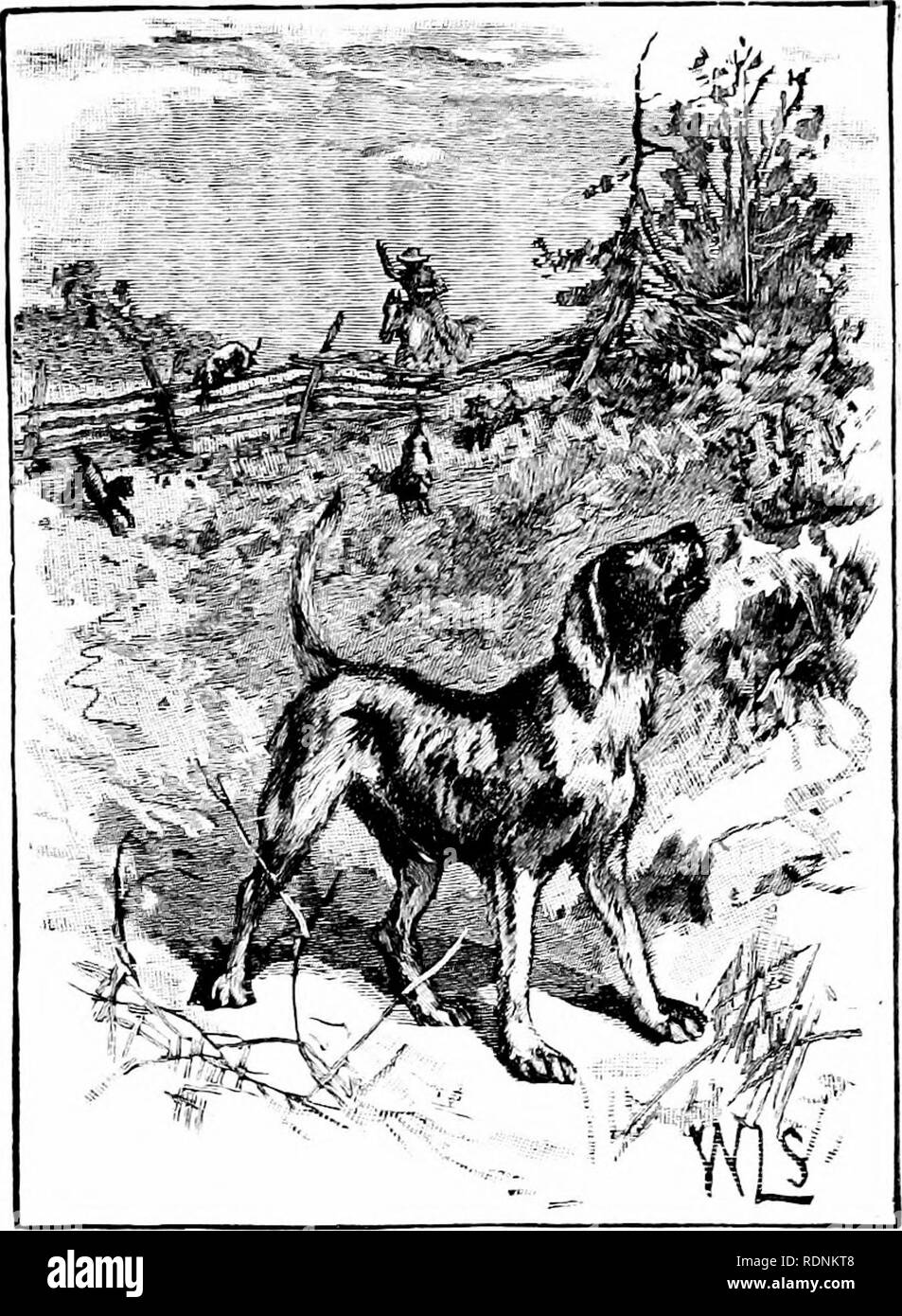 . Quattro piedi, due piedi e i piedi non; o, peloso feathery e animali domestici, e il loro modo di vivere. Il comportamento di animali. Zio Jack's Pack di HOUNDS. Avete mai sentito un pack di cani? Un tale rumore come fanno! Possono battere qualcosa per il rumore, tranne i ragazzi appena lasciati liberi dalla scuola. Zio Jack più ha cinque o sei belle fox- hounds. Quando egli esce a caccia prende il suo hounds. Essi iniziare una corsa, con il naso a terra. Quando uno di loro profumi la via di un cervo, una volpe o qualsiasi altro animale, egli solleva un grido, e poi tutto il pack start sul sentiero, rendendo i boschi anello con le loro grida. I segugi Foto Stock