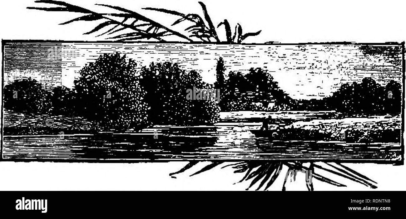 . Thomas Ken e Izaak Walton, uno schizzo della loro vita e della loro connessione famiglia. Ken, Thomas, 1637-1711; Walton, Izaak, 1593-1683. Il FJlRRY A DYNEY, il fiume Tamigi Anderdon indice " Vita di Ken," J Angler's desidera, Ii8 Anne, Queen, adesione, 59 ; speciali per ripristinare il vescovato di Ken, 60; si assesta sulla pensione Ken, 62 Ashmole, 127, 128 Pancetta, Percy, 200 Baily, W., 198, 203 Barlow, G., 128 Bagno, Marchesa, erige me- morial finestra per Ken, 77 Beachame, James, 7 Vescovi, sette, inviato a torre, 49 Blague, Il colonnello, 128 blando, Michael, un suggerimento per il memorial, 190 Blurton, E., lOJ Bowles, W. L., & Foto Stock