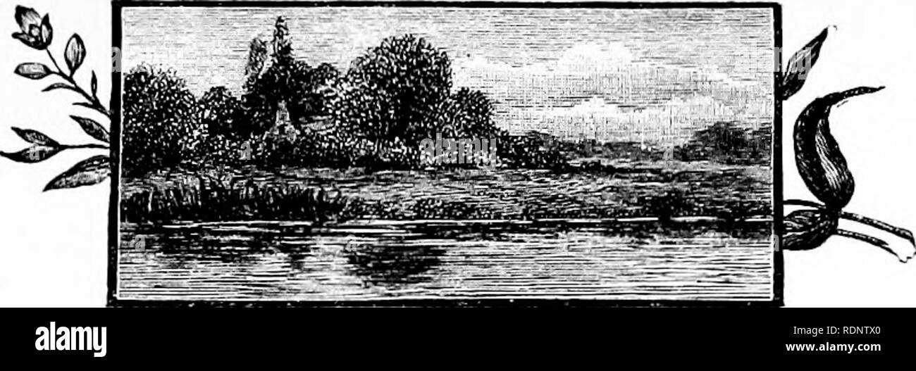 . Thomas Ken e Izaak Walton, uno schizzo della loro vita e della loro connessione famiglia. Ken, Thomas, 1637-1711; Walton, Izaak, 1593-1683. Vicino a UCKFIELD CAPITOLO VIII il diritto Venerabile il sig. Offley, dedizione ai non-men- zionato in seconda edizione-Nat. E R. Roe-Walton invitati dal dottor Morley a risiedere con lui, 1662-la sua residenza era davvero con il Dottor Hawkins-locazione di locali a Paternoster Row, 1662-locali bruciato in un grande incendio, 1666-CONTRATTO DI LOCAZIONE rinnovato, 1670. "OETWEEN degli anni 1651 e 1661 sappiamo poco di Walton's azioni al di là di alcuni riferimenti sparsi per essere trovato nelle sue opere che erano già state Foto Stock