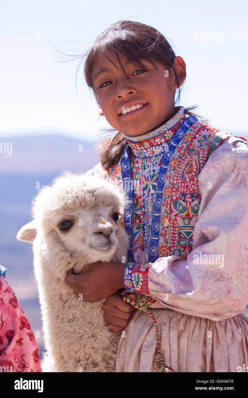 Ragazza con Alpaca, nei pressi di Arequipa, Perù, Sud America Foto Stock