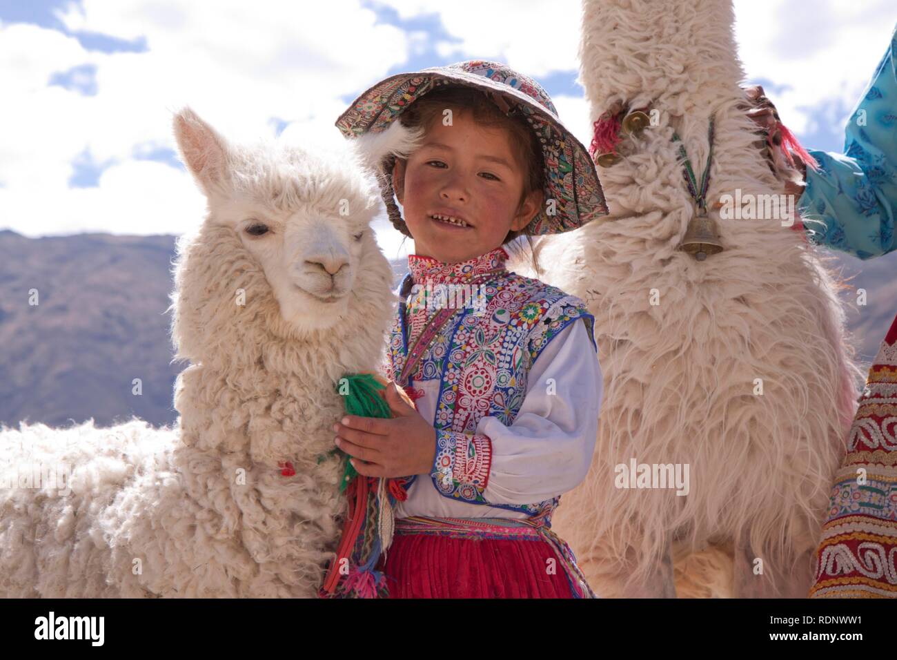 Ragazza con alpaca e Maca vicino Canyon del Colca, Perù, Sud America Foto Stock