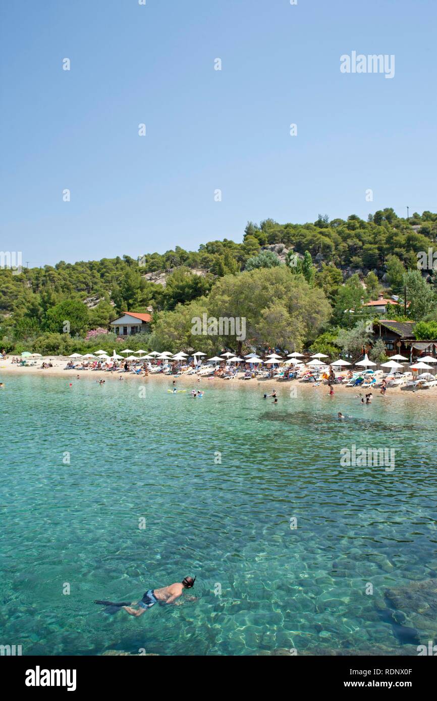 Kalogria Beach sulla penisola di Sithonia in Chalcidice, Macedonia centrale, Grecia, Europa Foto Stock