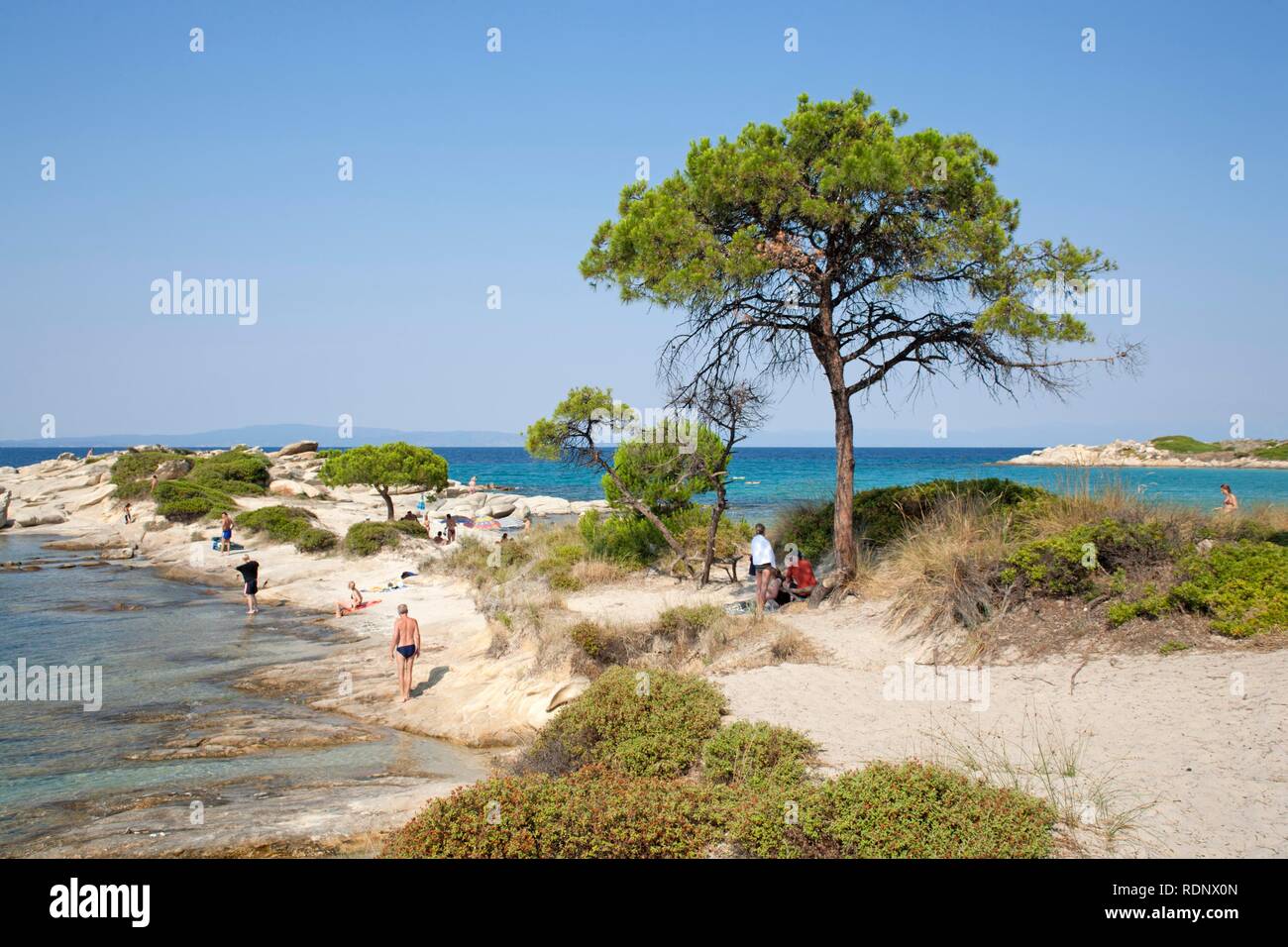 Karidi spiaggia nei pressi di Vourvourou sulla penisola di Sithonia in Chalcidice, Macedonia centrale, Grecia, Europa Foto Stock