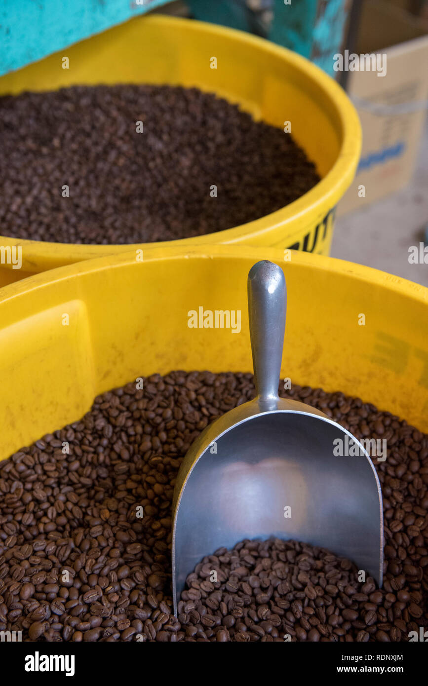 La tostatura i chicchi di caffè al Caffè Avana lavora a Wellington, Nuova Zelanda. Foto Stock