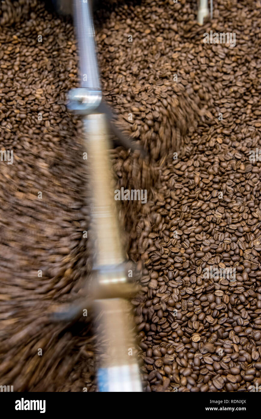 La tostatura i chicchi di caffè al Caffè Avana lavora a Wellington, Nuova Zelanda. Foto Stock