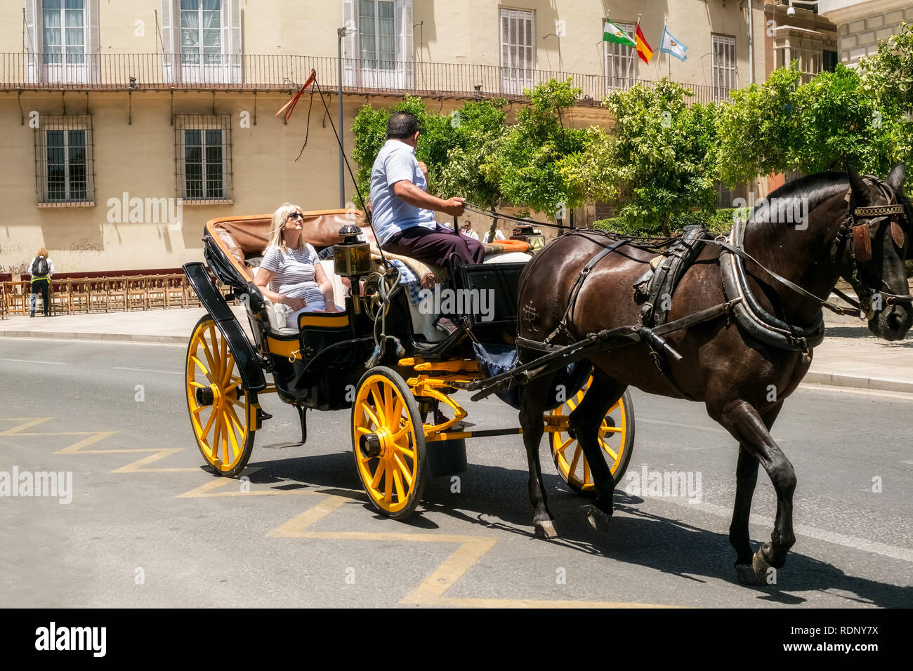 Malaga, Spagna - 26 maggio 2018. I turisti che vanno a una passeggiata con un carrello al centro storico ed artistico della provincia di Malaga, Costa del Sol, Andalusia S Foto Stock