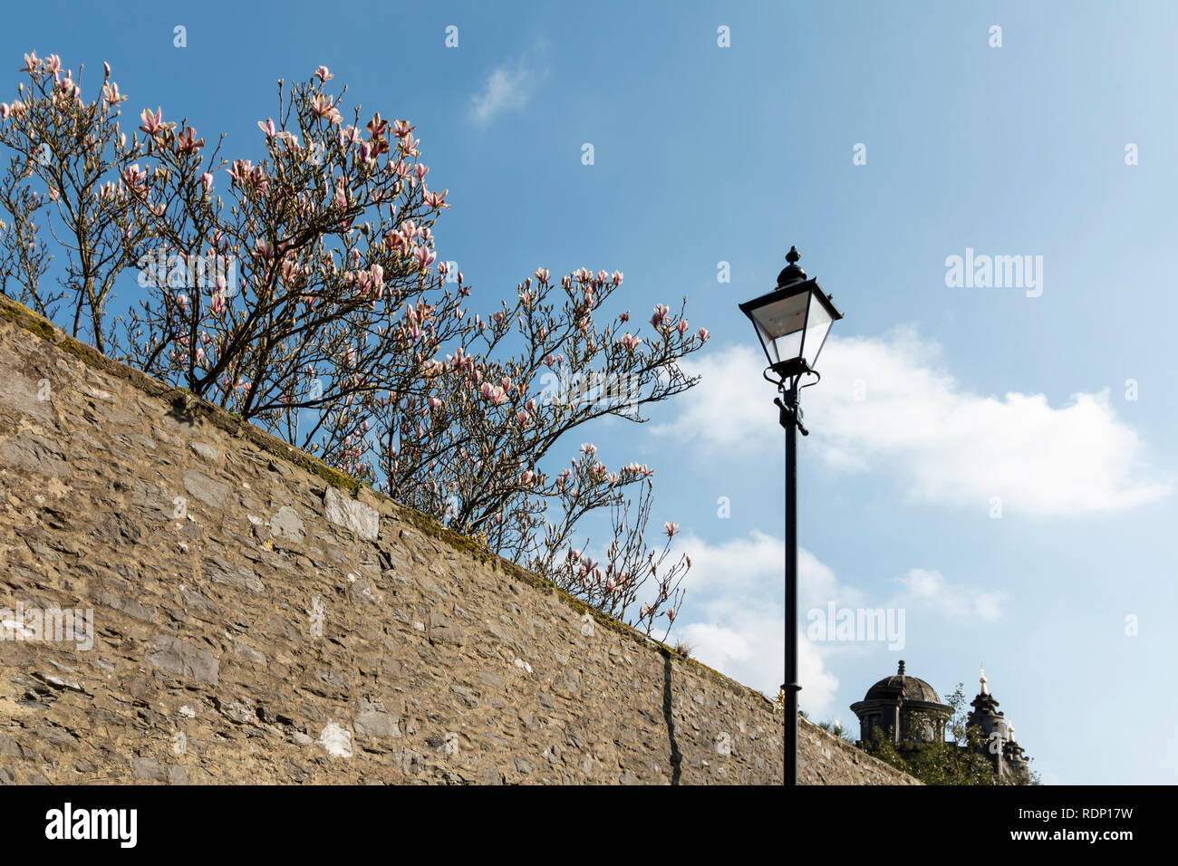 Parete con la primavera sbocciano i fiori che mostra su un albero, next​ ad una lampada ornata di post in una giornata di sole Foto Stock