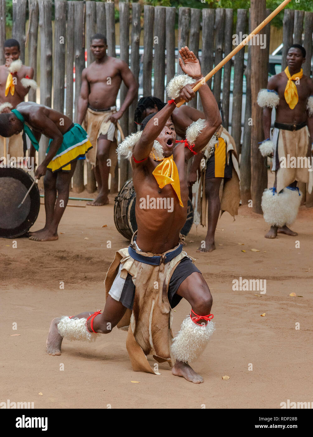 Tradizionale Swazi dancing display dalla troupe a mantenga il villaggio culturale, Ezulwini Valley, eSwatini precedentemente noto come dello Swaziland Foto Stock