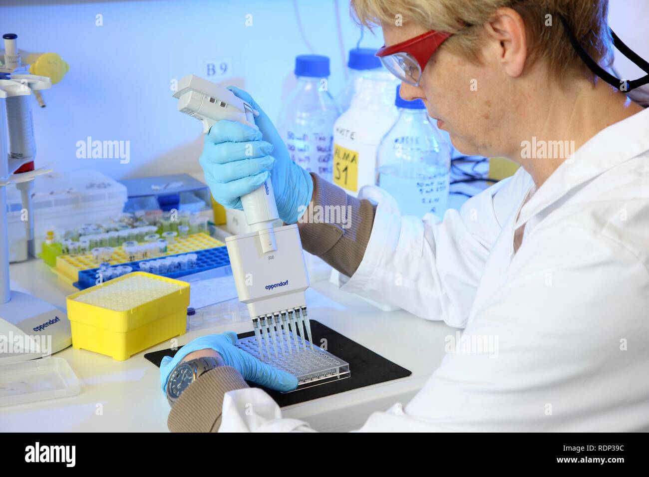 Laboratorio, uno scienziato è trasferire i campioni di proteina con una pipetta multicanale su una piastra di cristallizzazione, centro per Foto Stock