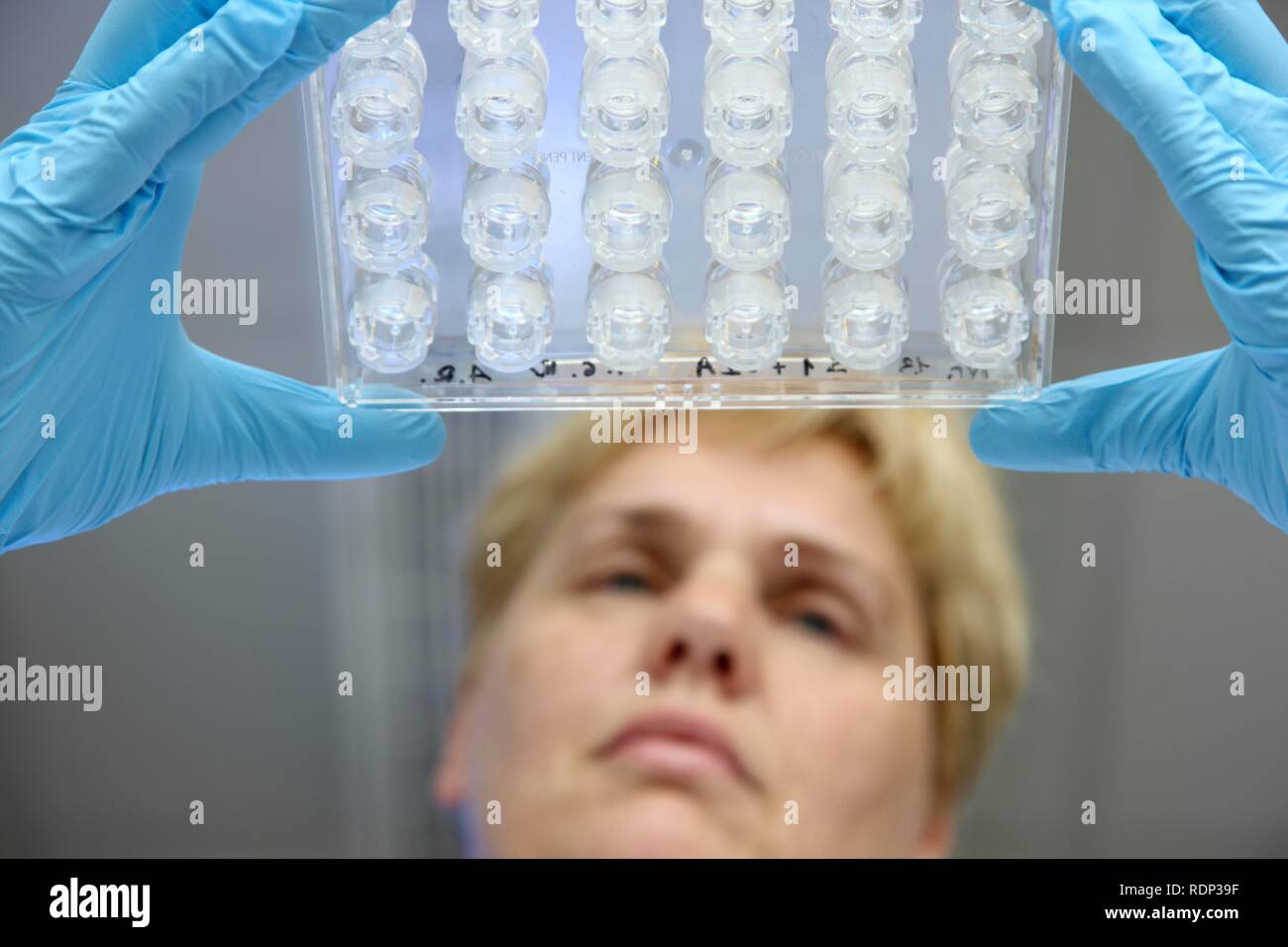 Laboratorio, uno scienziato è controllare la piastra di cristallizzazione per la cristallizzazione di proteine, centro per uso medico Foto Stock