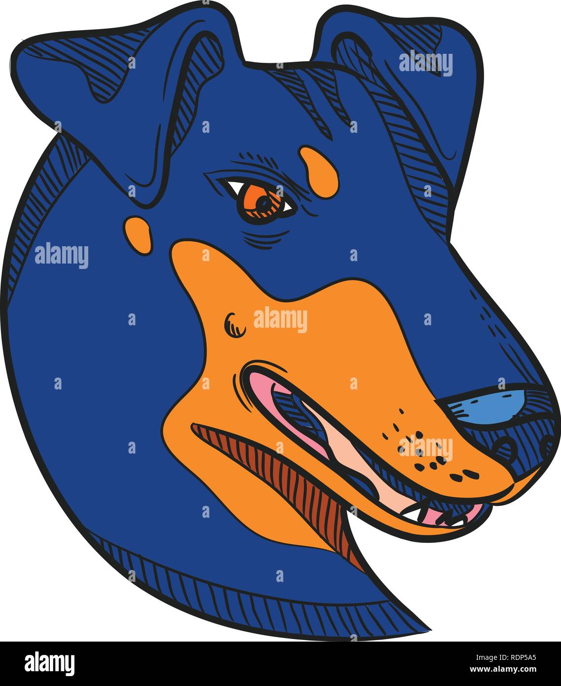 Disegno stile sketch illustrazione della testa di un Manchester Terrier, una razza di cane di smooth-haired terrier tipo visto dal lato sul bianco isolato Illustrazione Vettoriale