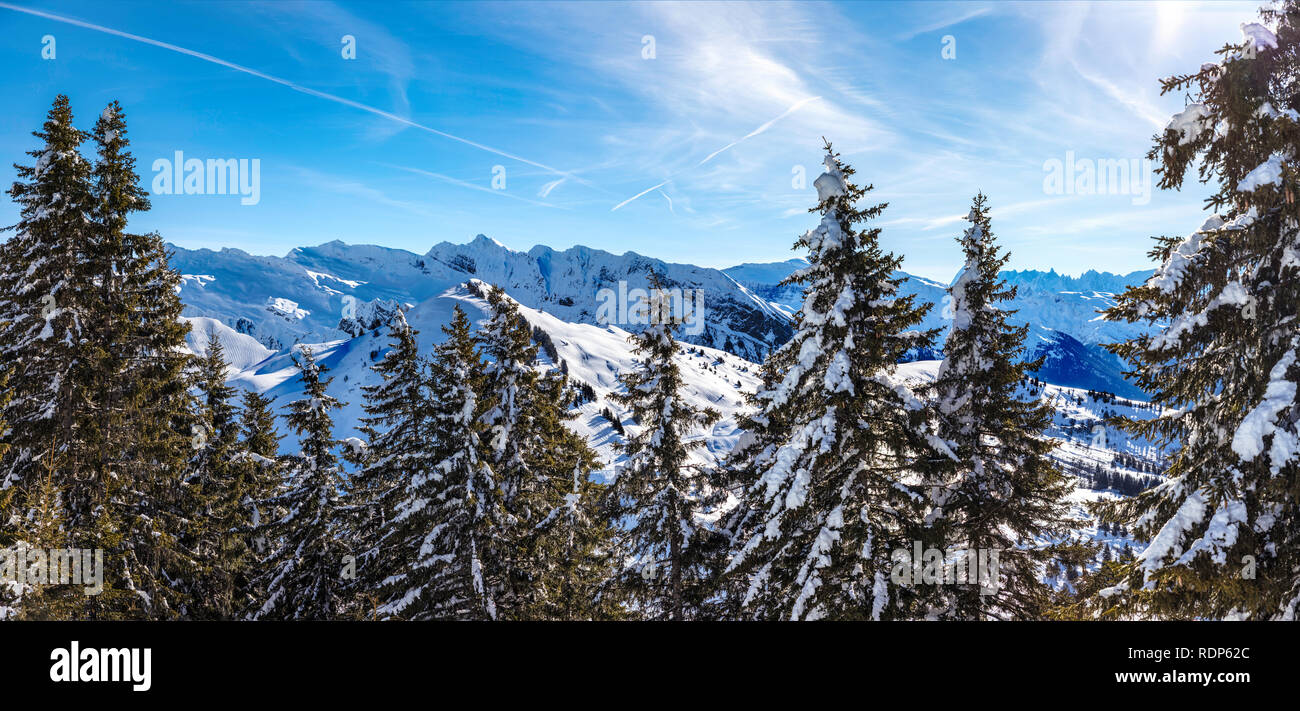 Soleggiata giornata invernale con nuvole basse e haze, coperta di neve Alpi dolomitiche in background e abeti in primo piano. Portes du Soleil, Francia Foto Stock
