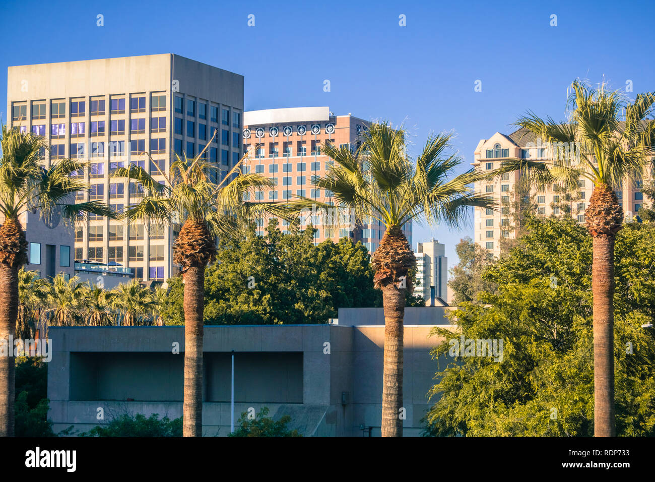 Edifici per uffici e palme nel centro cittadino di San Jose al tramonto, California Foto Stock