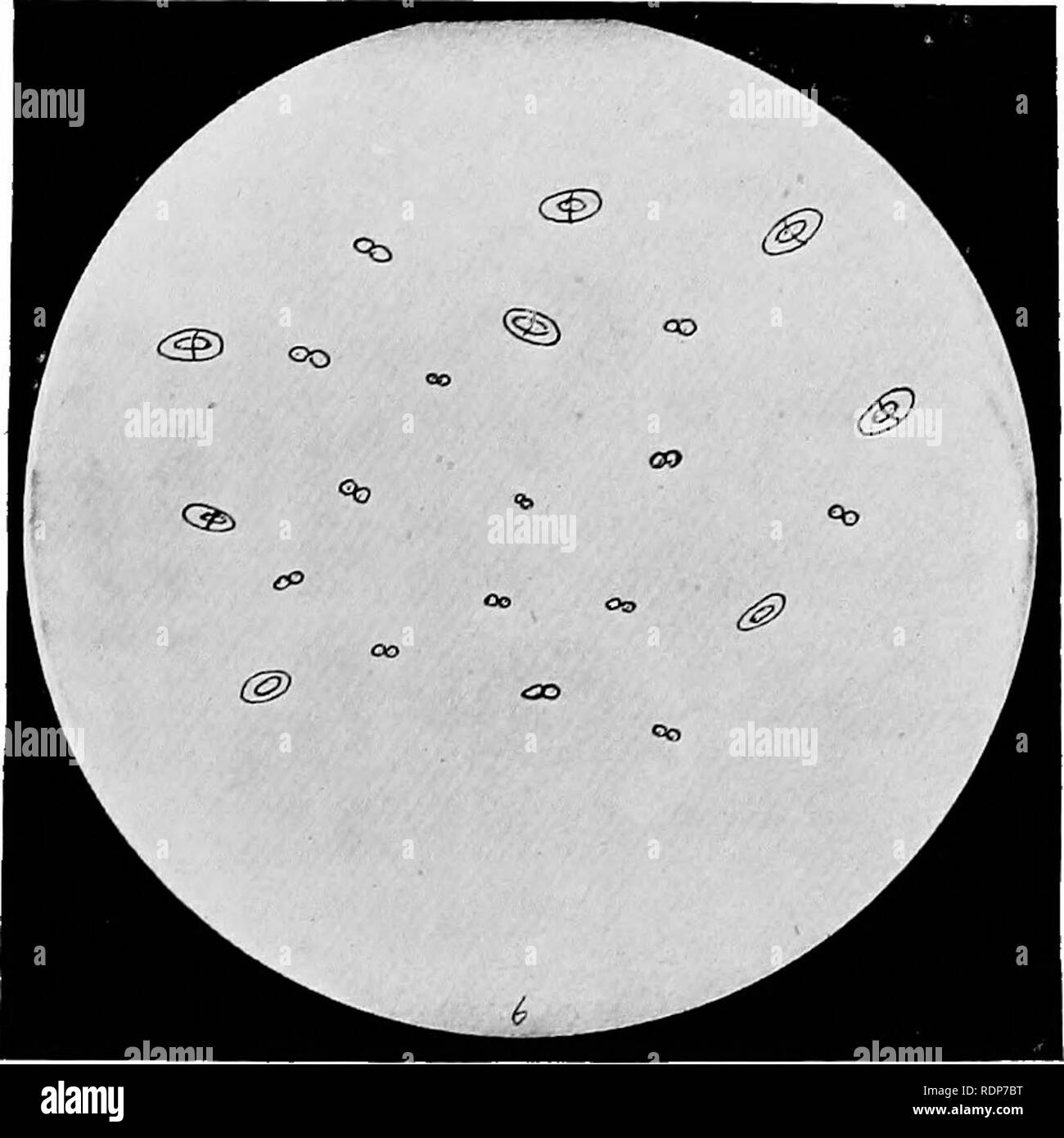 . L'origine della vita, la sua base fisica e definizione. Vita (biologia). VI. [Faccia a pagina 112. Si prega di notare che queste immagini vengono estratte dalla pagina sottoposta a scansione di immagini che possono essere state migliorate digitalmente per la leggibilità - Colorazione e aspetto di queste illustrazioni potrebbero non perfettamente assomigliano al lavoro originale. Burke, John Benjamin Butler, 1873-. Londra, Chapman e Hall, Ltd. Foto Stock