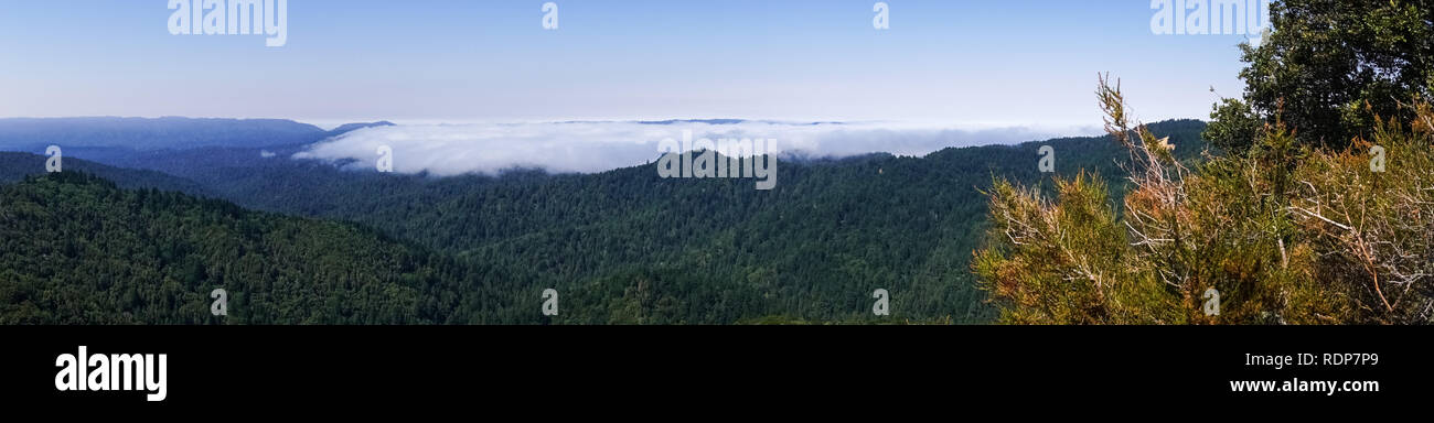 La nebbia persistente sulle colline e valli di Santa Cruz Mountains, San Francisco Bay Area, California Foto Stock