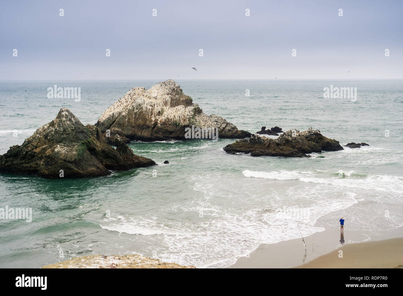 La pesca sulla costa dell'Oceano Pacifico in un giorno nuvoloso, Lands End, San Francisco, California Foto Stock