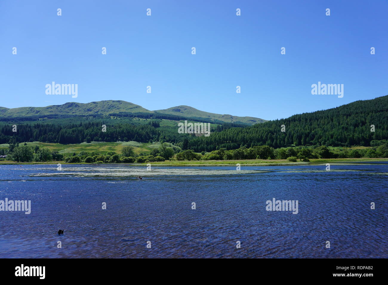 Scenario nelle Highlands, Scozia Foto Stock