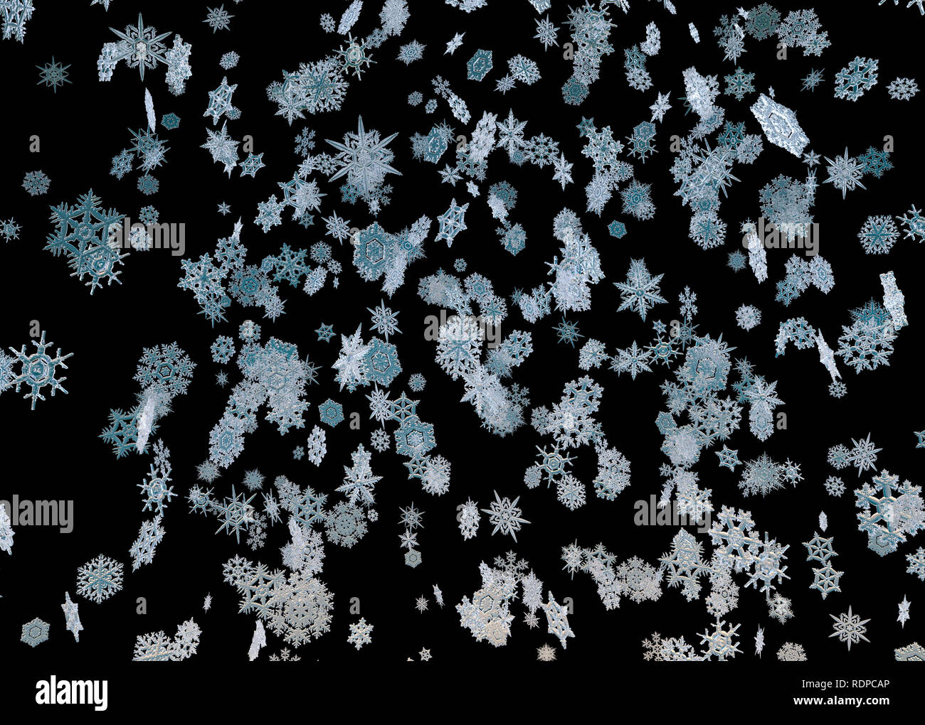 I Fiocchi Di Neve Che Cade Contro Uno Sfondo Nero Illustrazione Foto Stock Alamy