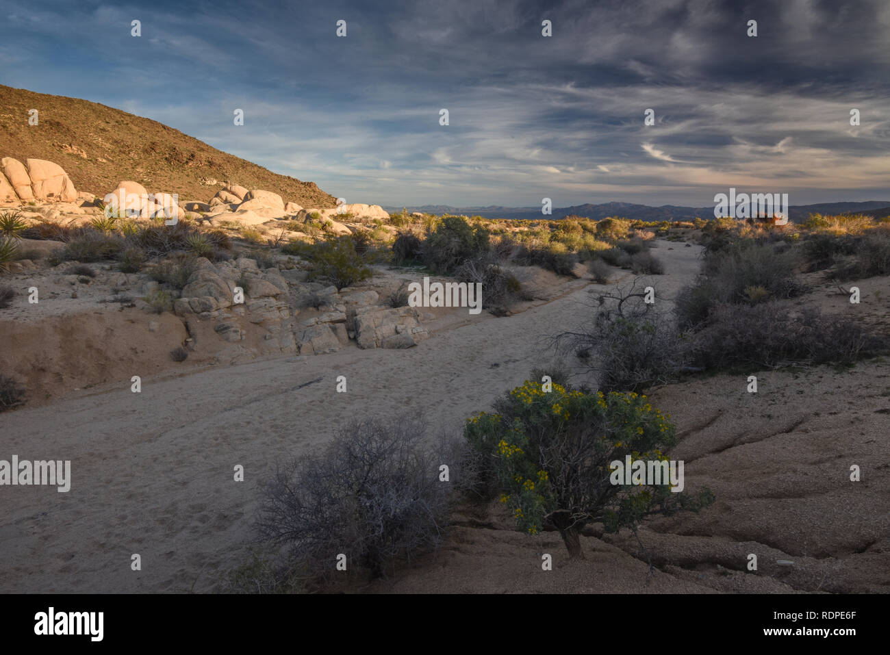 Parco nazionale di Joshua Tree, ventinove Palme, 29 palme, CALIFORNIA, STATI UNITI D'AMERICA Foto Stock