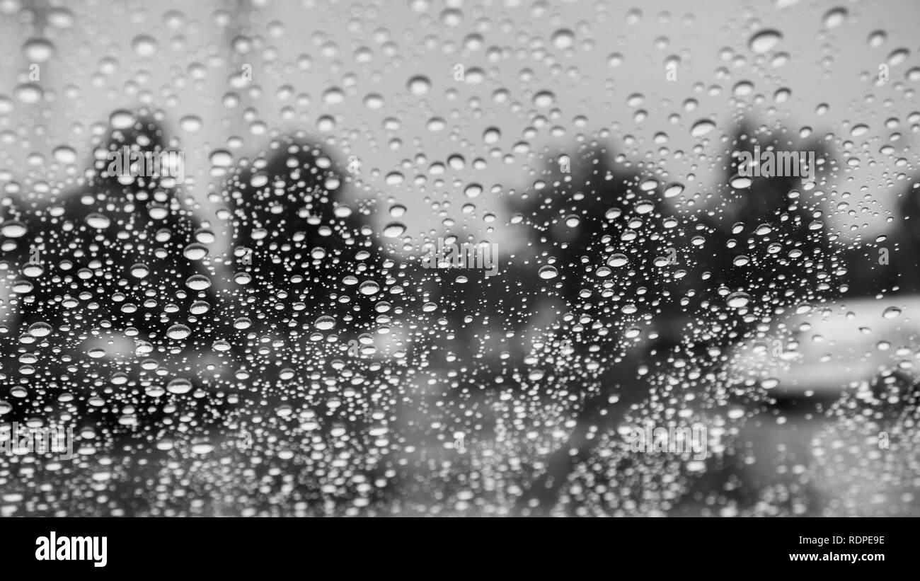 Gocce di pioggia sul parabrezza; paesaggio astratto in background; in bianco e nero Foto Stock