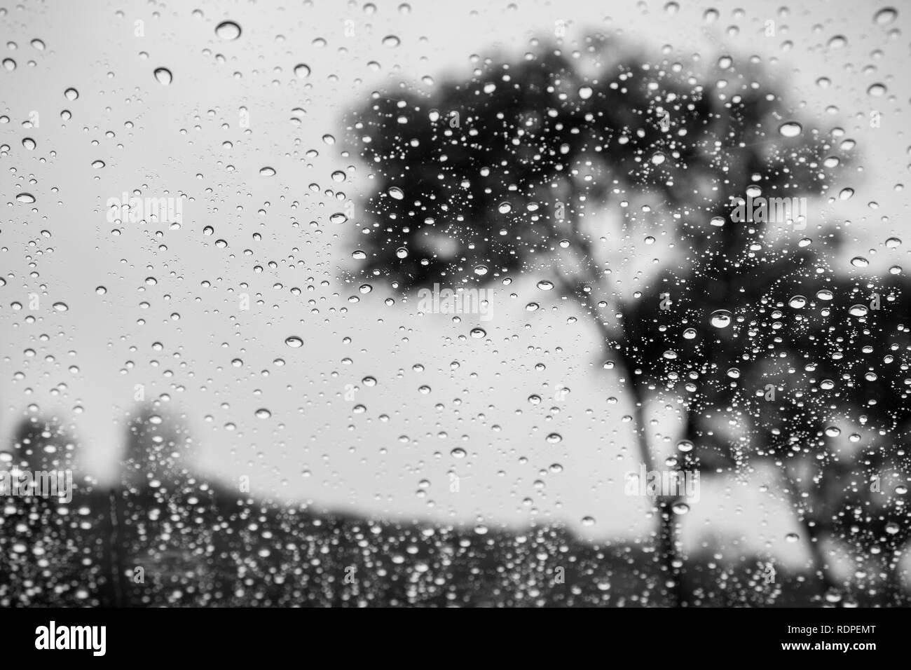 Gocce di pioggia sulla finestra in un giorno di pioggia Foto Stock
