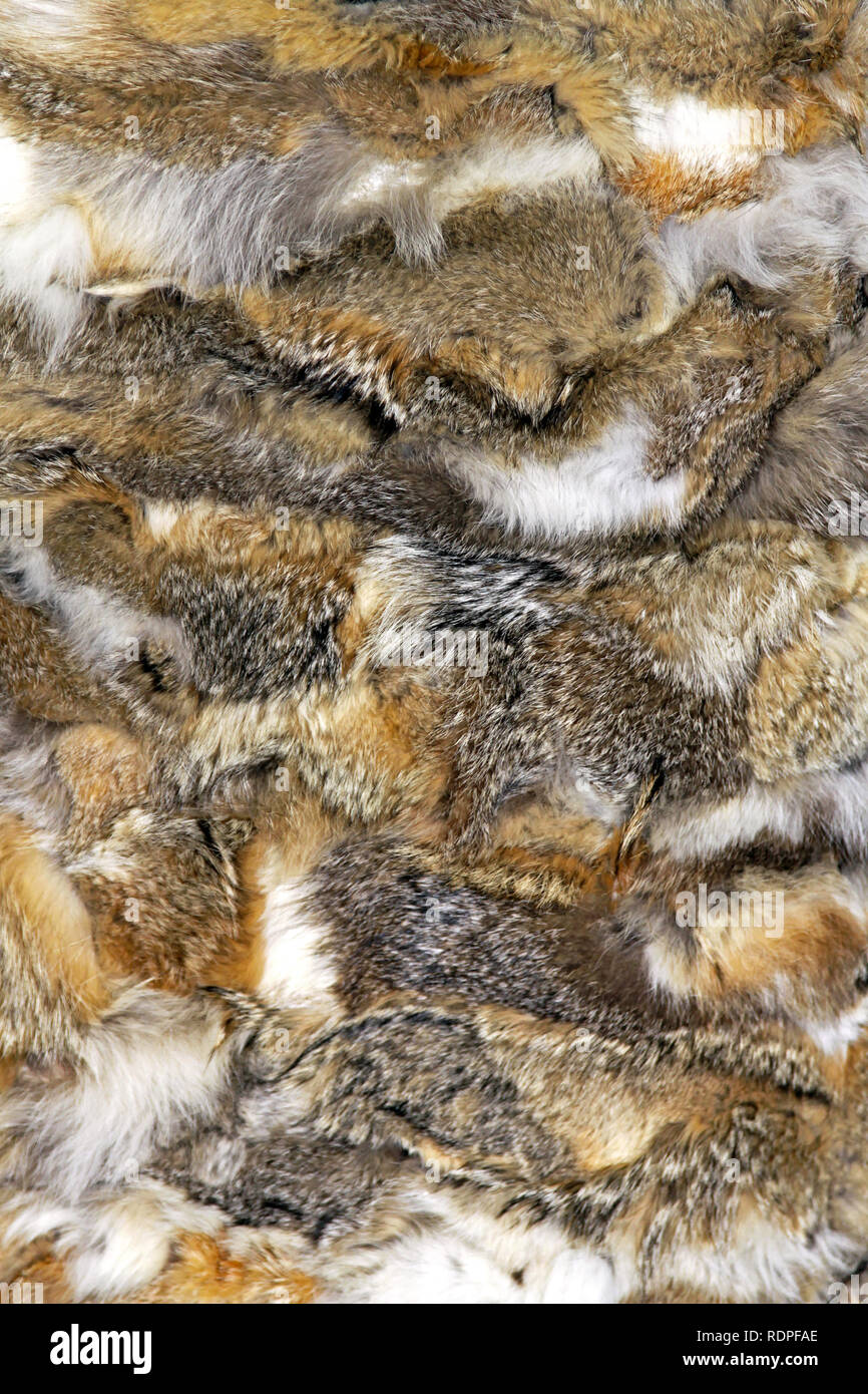 Grande pila di autentico pelo coniglio capelli Foto Stock