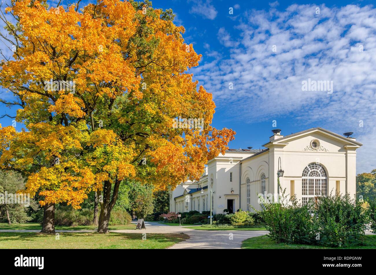 Varsavia, MAZOVIAN PROVINCIA / Polonia - 11 ottobre 2018: nuova Orangerie, XIX sec. hothouse ombreggiata con aceri. Il Parco delle Terme Reali. Foto Stock