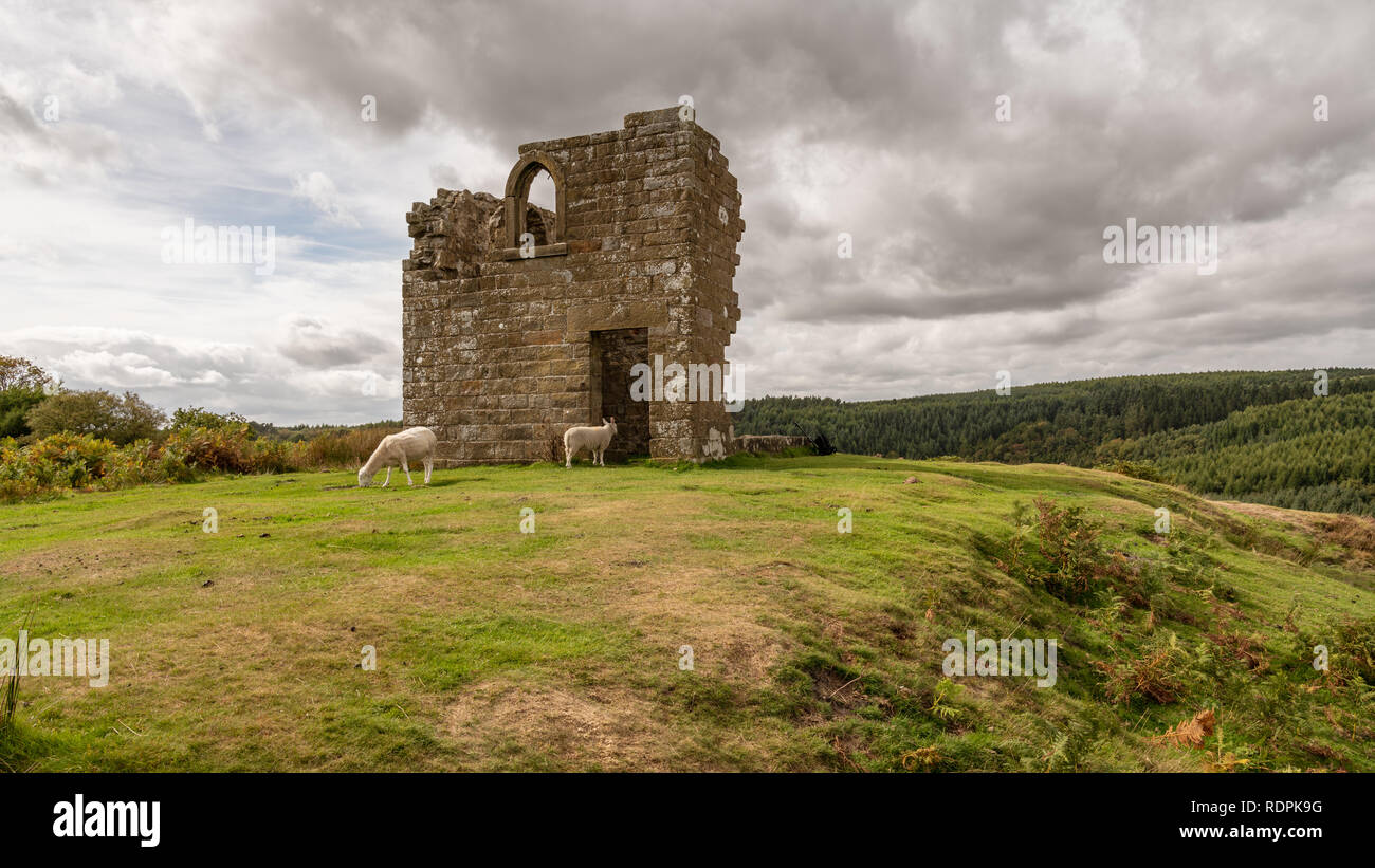 North York Moors paesaggio, guardando Skelton Tower, visto dal Levisham Moor, North Yorkshire, Inghilterra, Regno Unito Foto Stock