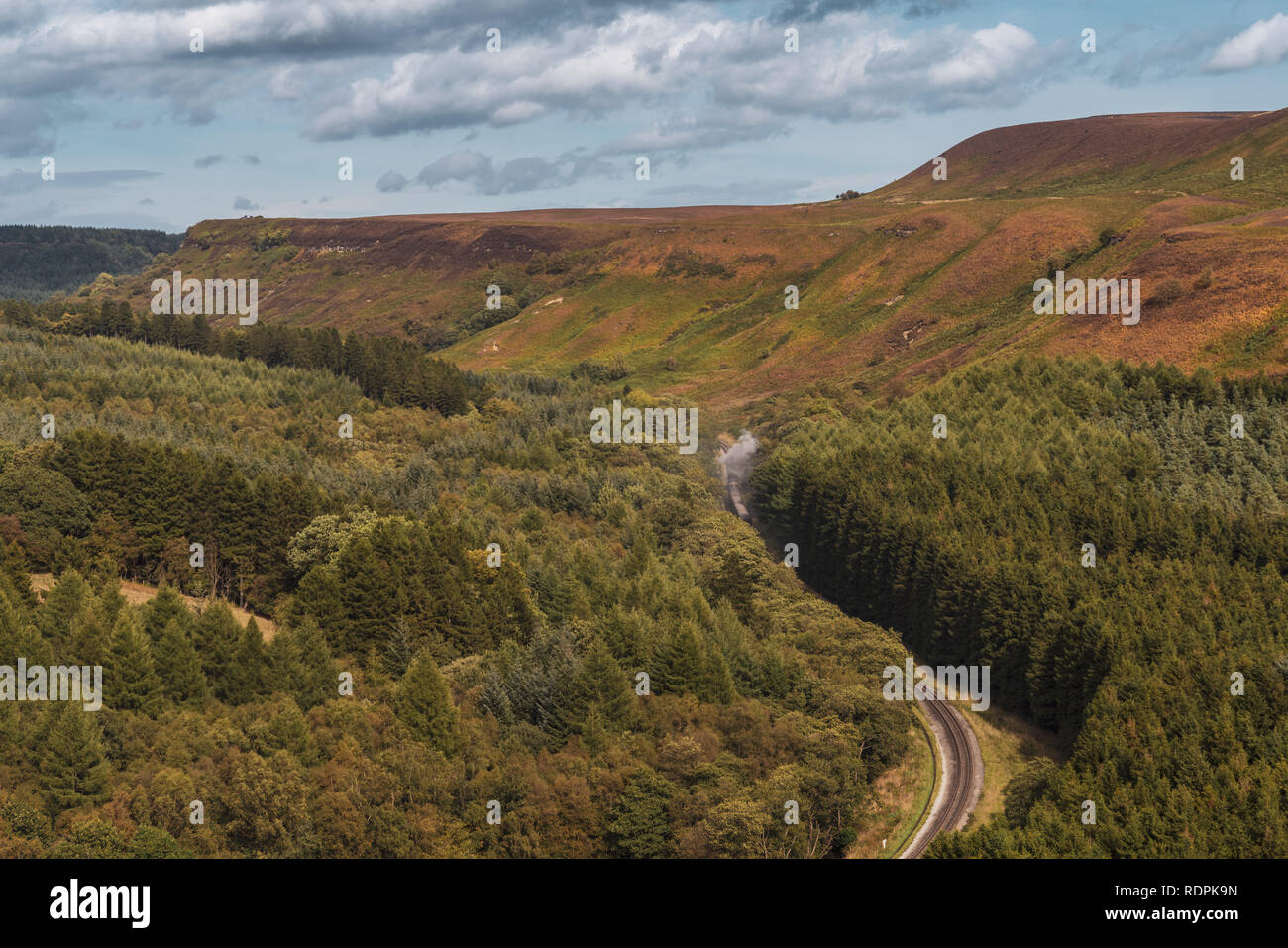 North York Moors paesaggio in Newtondale, visto dal Levisham Moor, North Yorkshire, Inghilterra, Regno Unito Foto Stock