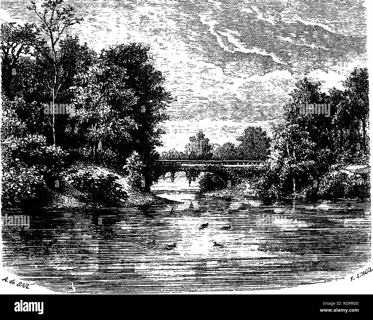 . I parchi e i giardini di Parigi, considerato in relazione alla voglia di altre città e dei giardini pubblici e privati; essendo note su uno studio di Parigi giardini. Il giardinaggio; Giardini; parchi. Cap. IJ il Bois de Boulogne. neiglibour in fiore e frutto. Poi, dopo aver disposto i gruppi in un pittoresco modo, potremmo concludere con una nuova funzione. È consuetudine a margine del nostro shrubberies e impianti ornamentali con un piuttosto bene in-linea contrassegnata, t Strong-alberi crescenti venite vicino al bordo come una regola e molti7)f la più bella primavera-arbusti da fiore della bassa crescita sono persi in ombra o crowdin Foto Stock