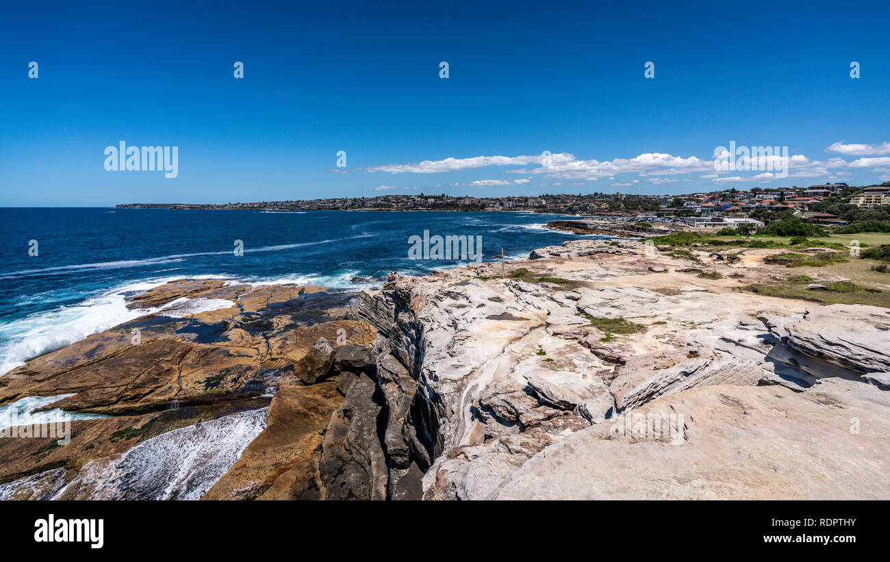 Vista del punto di squalo e Burrows park durante a Bondi e Coogee passeggiata costiera di Sydney NSW Australia Foto Stock