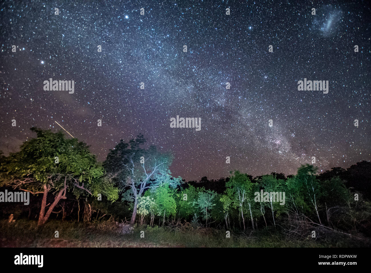 La Via Lattea si estende attraverso il cielo su bush africano a Umkhuze Game Reserve, parte di Isimangaliso Wetland Park in Sud Africa Foto Stock