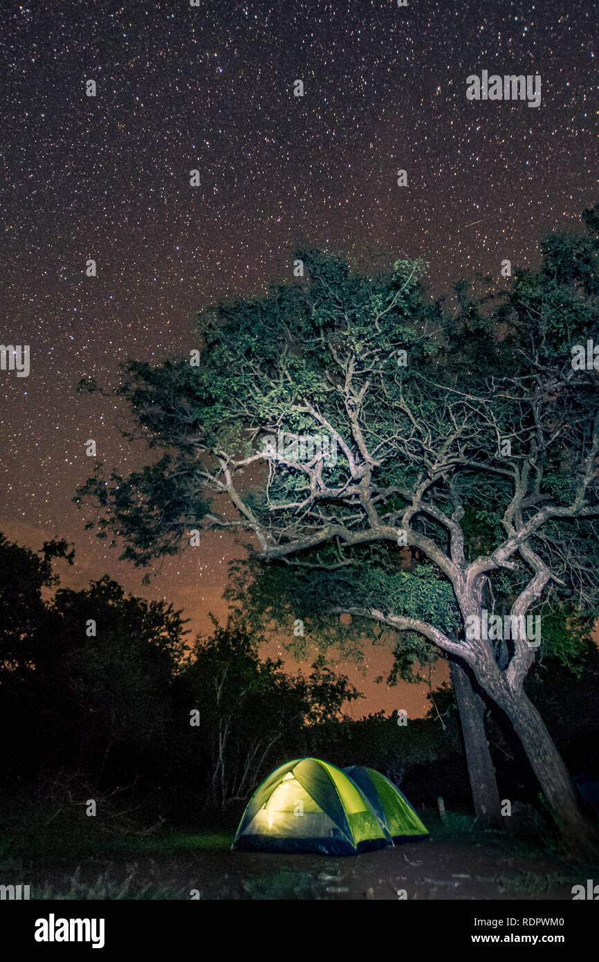 Un accogliente tenda calorosamente incandescente sotto un cielo pieno di stelle nel bush Africano, Umkhuze Game Reserve, Isimangaliso Wetland Park, Sud Africa Foto Stock