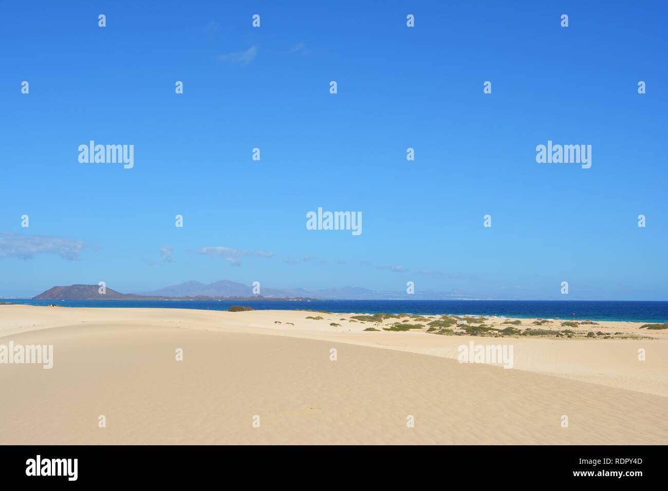 Le dune dorate del parco naturale sulla costa di Corralejo. Fuerteventura,Spagna. Foto Stock