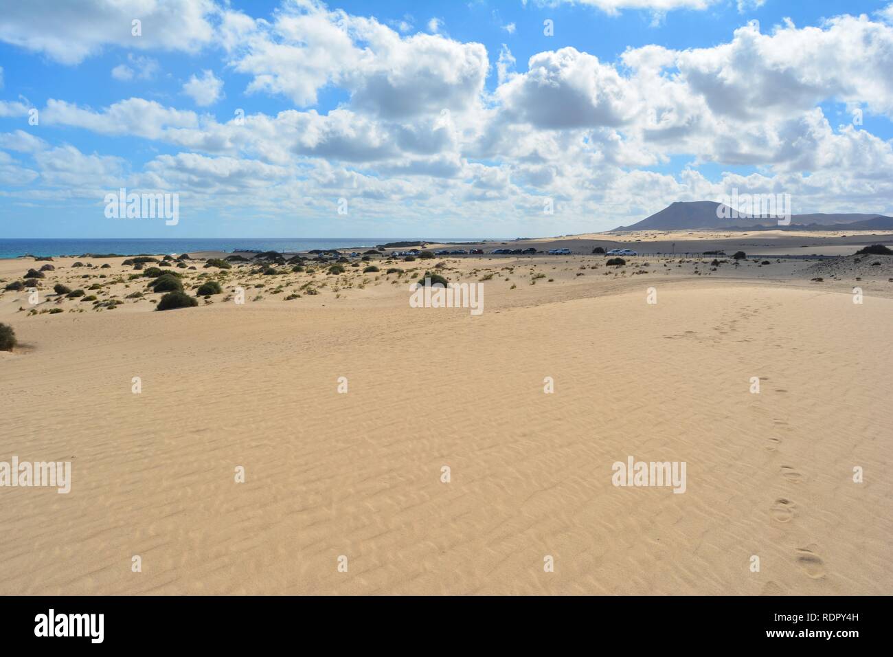 Le dune dorate del parco naturale sulla costa di Corralejo. Fuerteventura,Spagna. Foto Stock